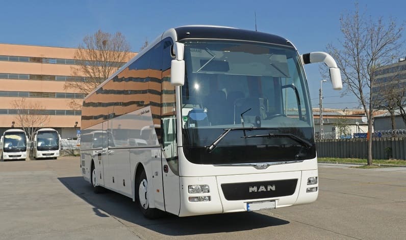 Saxony-Anhalt: Buses operator in Sta&szlig;furt in Sta&szlig;furt and Germany